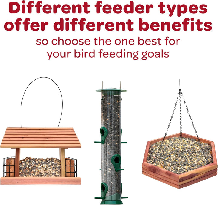 All American Wild Bird Food Seed Blend, 5 Pound