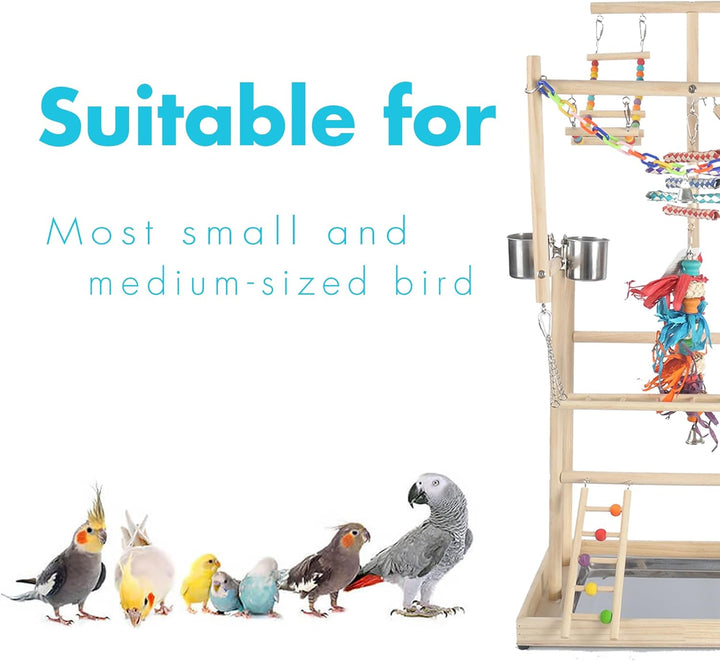 Parrot Playground Large 4 Layers - Small Bird Playground Parakeet Play Stand Bird Gym Parrots Playpen Play Playstand Parrot Tree for Cockatiel Lovebirds Conure Cockatoos Finch Budgies