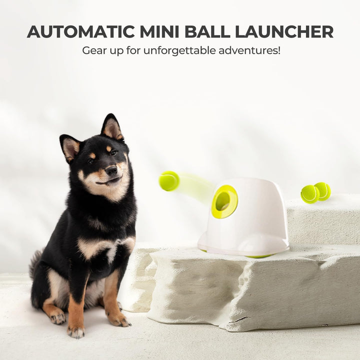 AFP Automatic Ball Launcher for Dogs Interactive Puppy Pet Ball Indoor Thrower Fetch Machine, 3 Balls Included (2 Inch) for Small to Medium Dogs