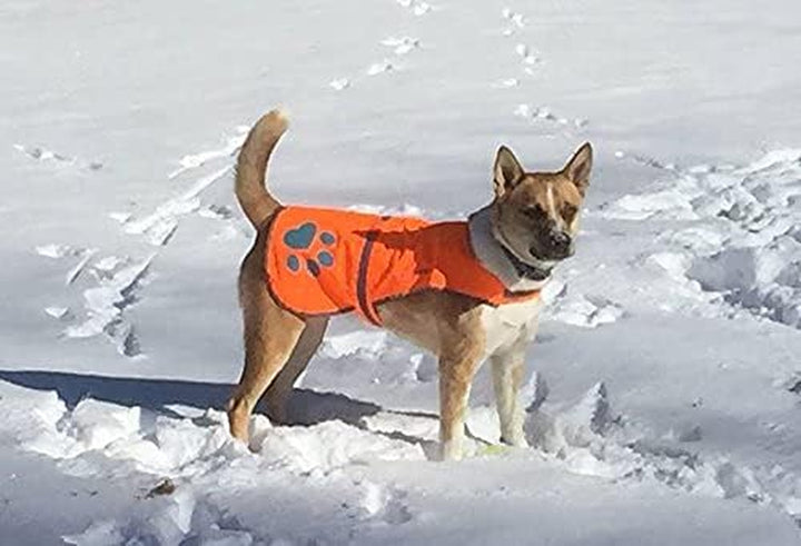 Reflective Dog Vest. Hi-Visibility, Fluorescent Blaze Orange Dog Vest Helps Protect Your Best Friend. Safeguard Your PUP from Motorists & Hunting Accidents, on or off Leash (Medium)