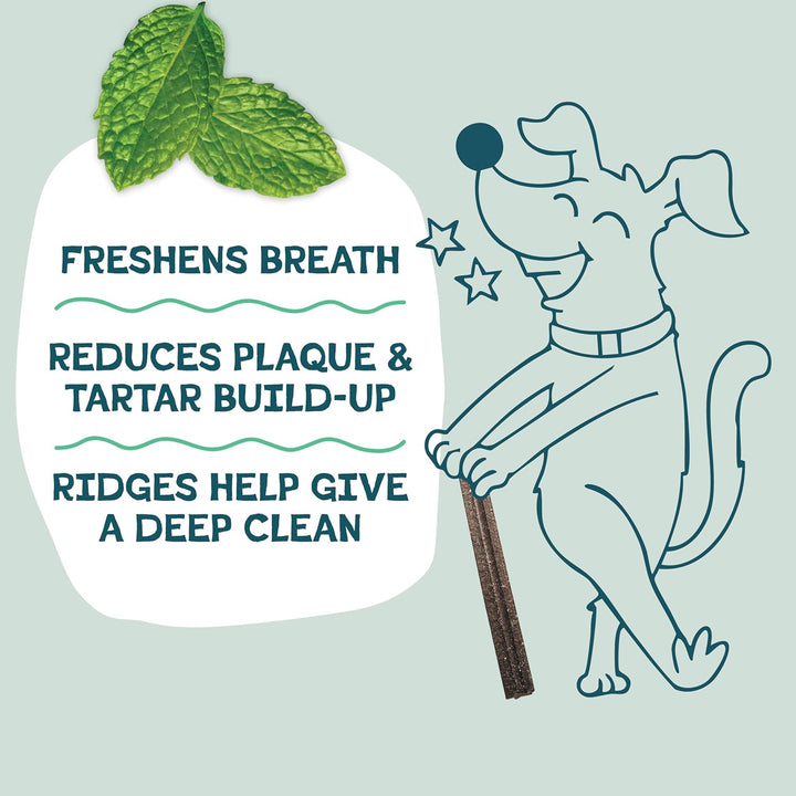 Dental Treats for Dogs, the Tooth Berry - Healthy Dental Sticks with Immune Support for Teeth Cleaning & Fresh Breath - Free from Grain, Corn & Soy