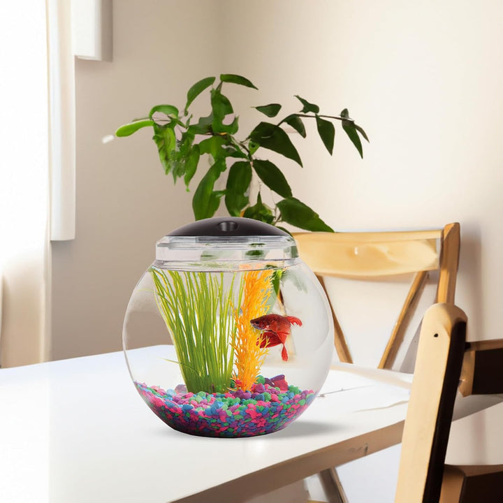1-Gallon Globe Fish Bowl, Impact- Resistant Plastic Aquarium Starter Kit with LED Lighting, Built-In Timer, Crystal-Clear Clarity, Desktop Fish Tank for Home Décor