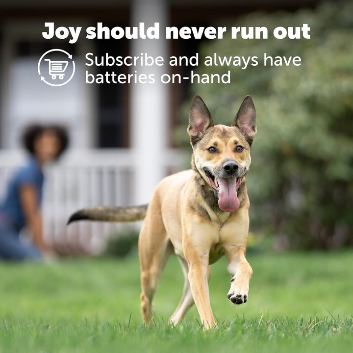 Dog Collar Batteries (2 Pack) Dog Collar Battery Waterproof Lithium Metal Product, Rfa-67D-11