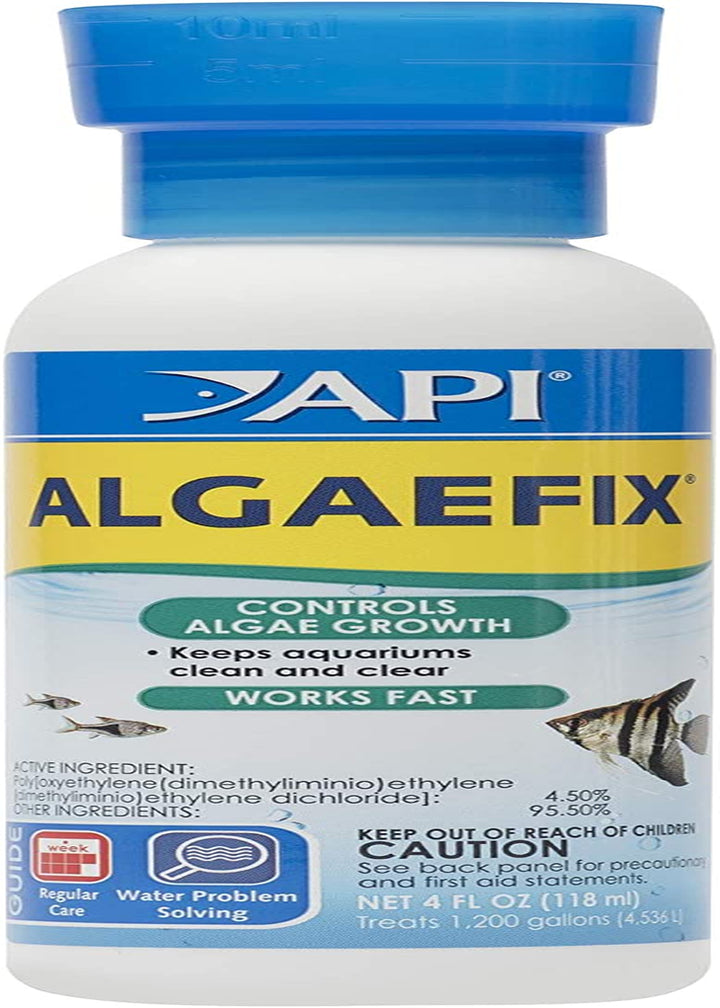 ALGAEFIX Algae Control 16-Ounce Bottle