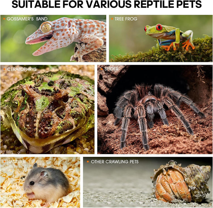 Acrylic Jumping Spider Habitat, Insect Terrarium, Bug Enclosure, Praying Mantis Habitat, Frog Enclosure