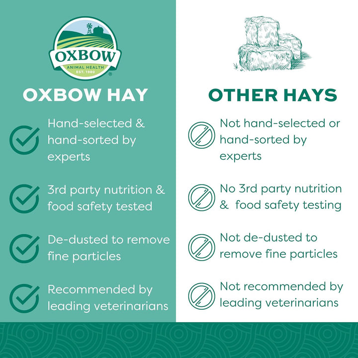 Orchard Grass Hay for Small Pets – All-Natural Long Strand Fiber Hay for Rabbits, Guinea Pigs, Chinchillas, and Hamsters – Supports Digestive Health and Enrichment – 40 Oz Bag