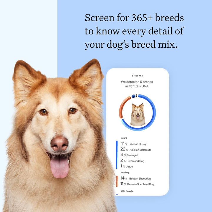Panel Breed Discovery Dog DNA Kit: Most Accurate Dog Breed Identification, Test for 365+ Breeds, MDR1 Health Test, Ancestry, Relatives