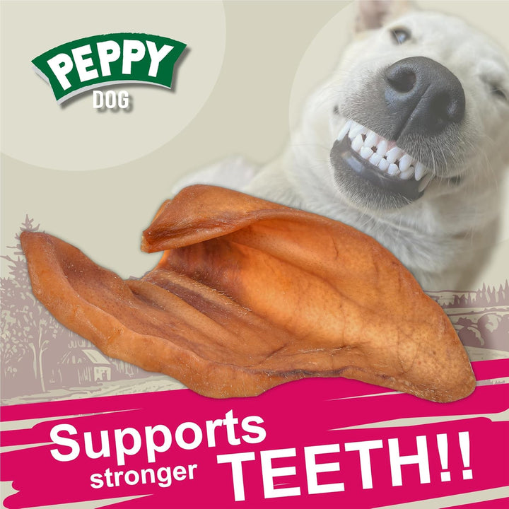 Pig Ears for Dogs (100 Count) | Single Ingredient Dog Chews | Healthy Pig Ears | Natural Treats | Rawhide Alternative | Healthy Treats for All Dogs