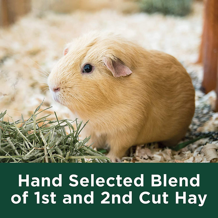 Wafer Cut All Natural Timothy Hay for Pet Guinea Pigs, Rabbits & Other Small Animals, 60 Ounce