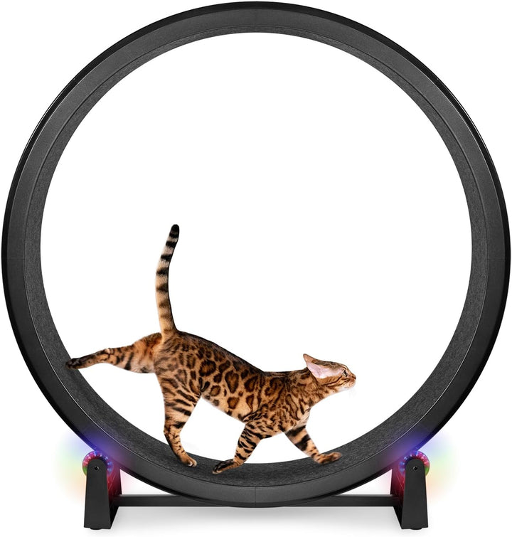 - Cat Exercise Wheel - Gen. 7 - Safe 48" Diameter - Made in the USA - Black Wheel with Gray Felt Traction Pads and Solid Black Inline Wheels
