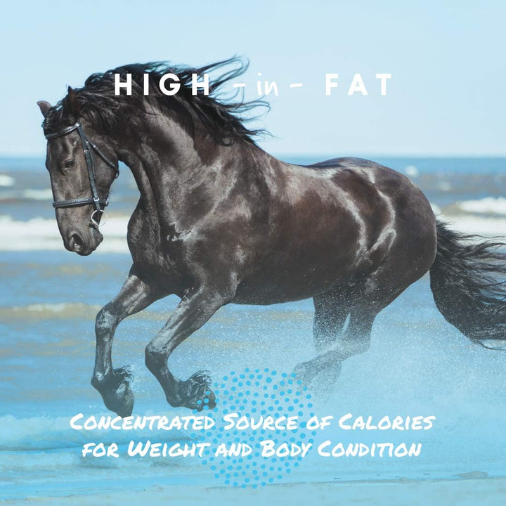 Cool Calories 100 – Equine Fat Supplement for Horses, Supports Healthy Weight Gain, Muscle Maintenance & Shiny Coat, Concentrated Dry Fat Calorie Booster, Low-Starch Formula, 8 Lb Bag