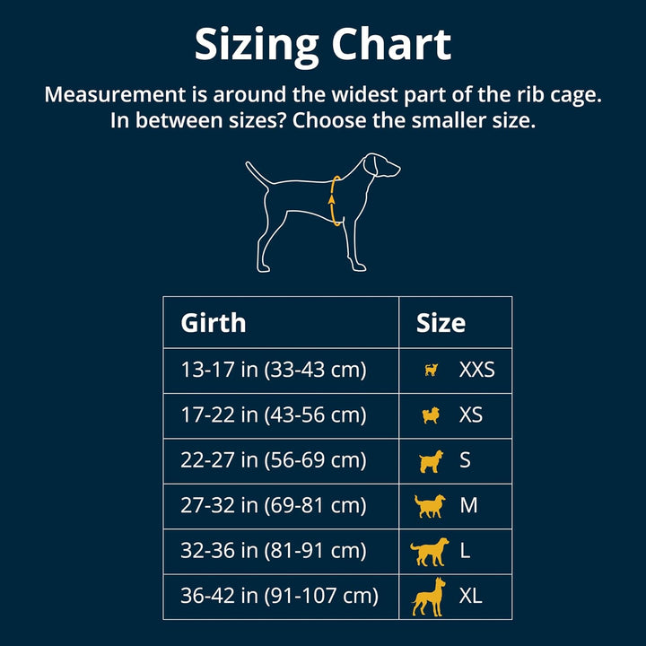 , Float Coat Dog Life Jacket, Premium Buoyancy Swim Vest with Lift Handle, Secure Fit & Reflective Trim, Adjustable Flotation for Swimming, Boating, & Outdoor Adventures, Wave Orange, Medium