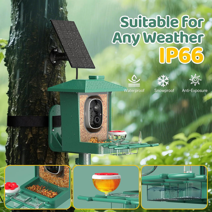 Bird Feeder with Camera Outdoor Solar: Smart Birdfeeder with AI Recognition - 2K HD Live Stream Video Camera for outside Wild Birds Garden Decor - Bird Lover Gifts