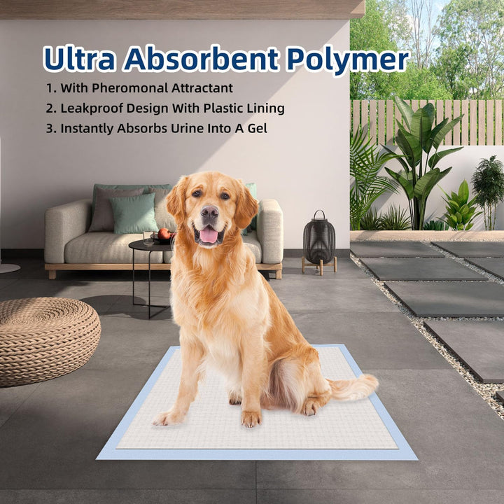 All-Absorb, Small 17.5" X 23.5", 120 Count, Dog and Puppy Training Pads, Ultra Absorbent and Odor Eliminating, Leak-Proof 5-Layer Potty Training Pads with Quick-Dry Surface, Blue, A05