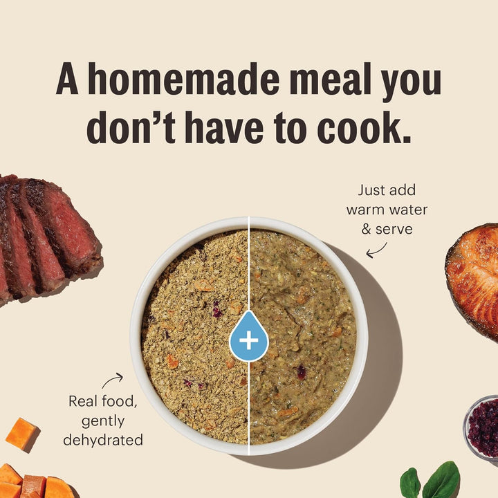 Wholemade™ Whole Grain Beef & Salmon Dog Food, 10 Lb Box