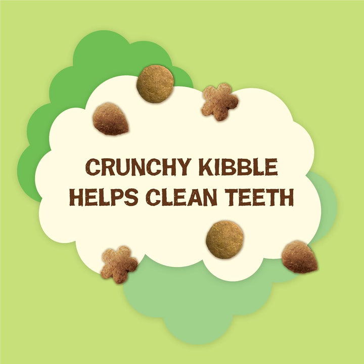 Purina  Made in USA Facilities, Natural Cat Treats, Party Mix Natural Yums Catnip Flavor - 20 Ounce (Pack of 1)