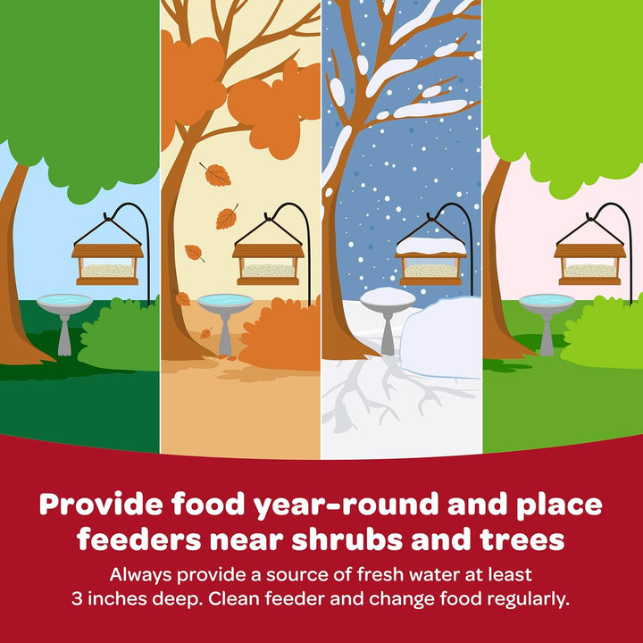 All American Wild Bird Food Seed Blend, 5 Pound