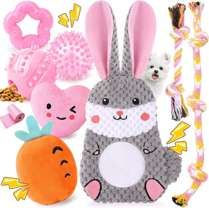 9 Pack Luxury Puppy Toys for Teething Small Dogs, Puppy Chew Toys with Cute Squeaky Dog Toys, Ball and More Rope Dog Chew Toys