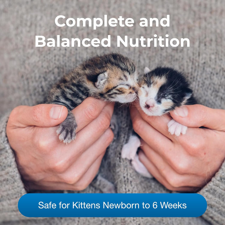 KMR Kitten Milk Replacer Powder - 6 Oz - Powdered Kitten Formula with Prebiotics, Probiotics & Vitamins for Kittens Newborn to Six Weeks Old - Easy to Digest
