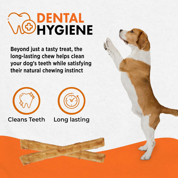 Chicken Recipe Chew - Rawhide Free Dog Treats - Made from USA Raised Chicken - All-Natural and Easily Digestible - 40 Pack of 5 Inch Stick Chews