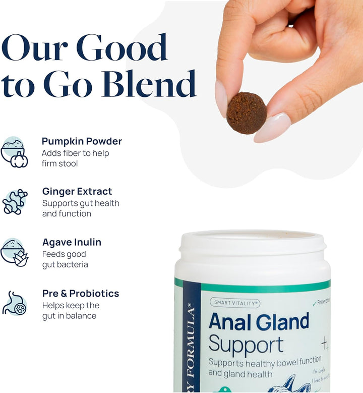 Anal Gland Support for Dogs – Vet-Formulated No Scoot Chews with Pumpkin, Ginger, Agave Inulin & Probiotics – Supports Scooting, Stool Quality & Digestive Health, 60 Soft Chews
