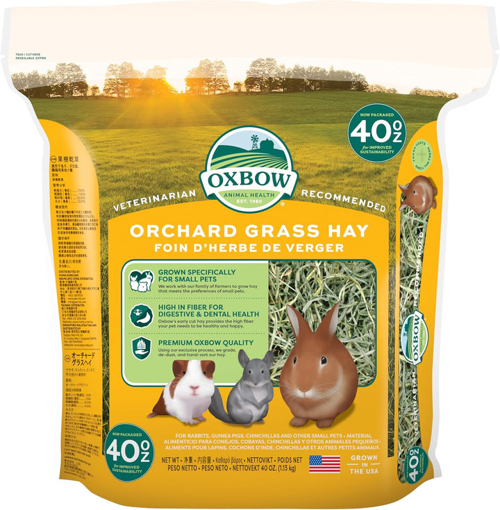 Orchard Grass Hay for Small Pets – All-Natural Long Strand Fiber Hay for Rabbits, Guinea Pigs, Chinchillas, and Hamsters – Supports Digestive Health and Enrichment – 40 Oz Bag