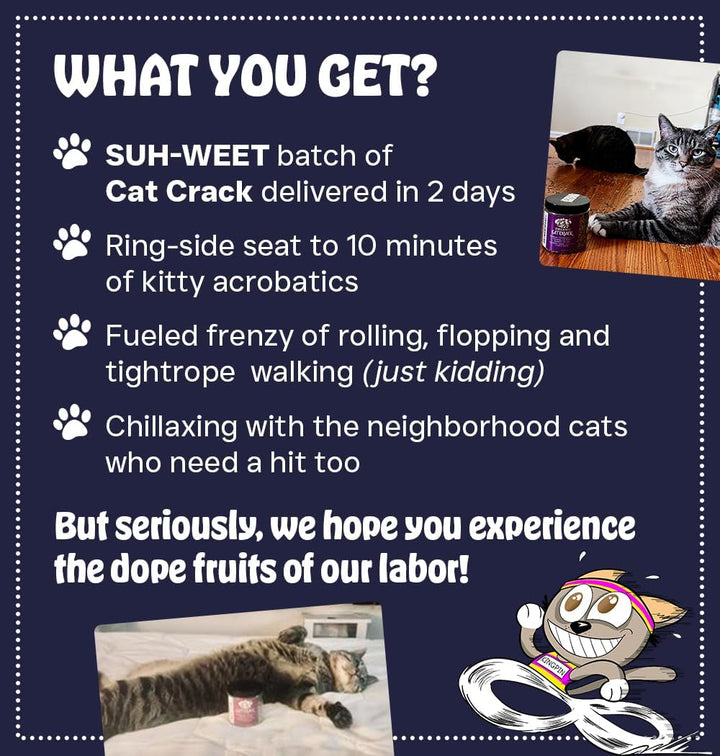 Catnip, Zoomie-Inducing Cat Nip Blend, North American Made & 100% Natural, Safe & Non-Addictive Catnip Treats Used to Supplement Cat Nip Toys, Spray, & Accessories (1 Cup)