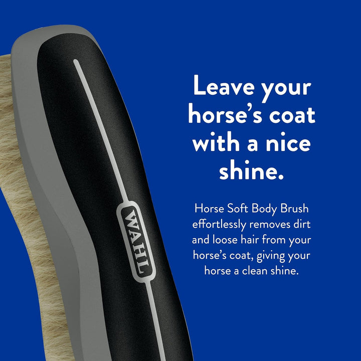 Professional Animal Equine Soft Body Horse Brush - Black