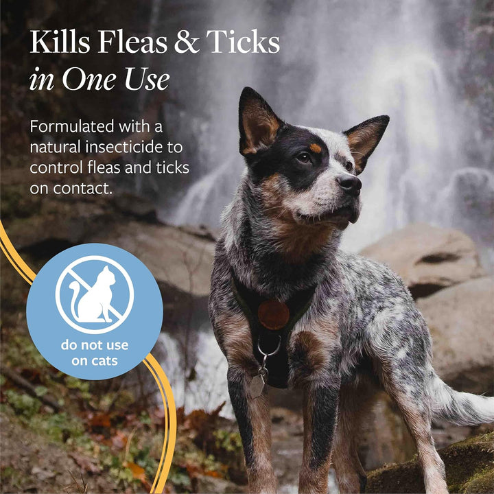 Flea and Tick Spray for Dogs, 8 Oz – Easy-To-Use Dog Flea Spray, Kills on Contact, Prevents Egg & Larval Development for 14 Weeks