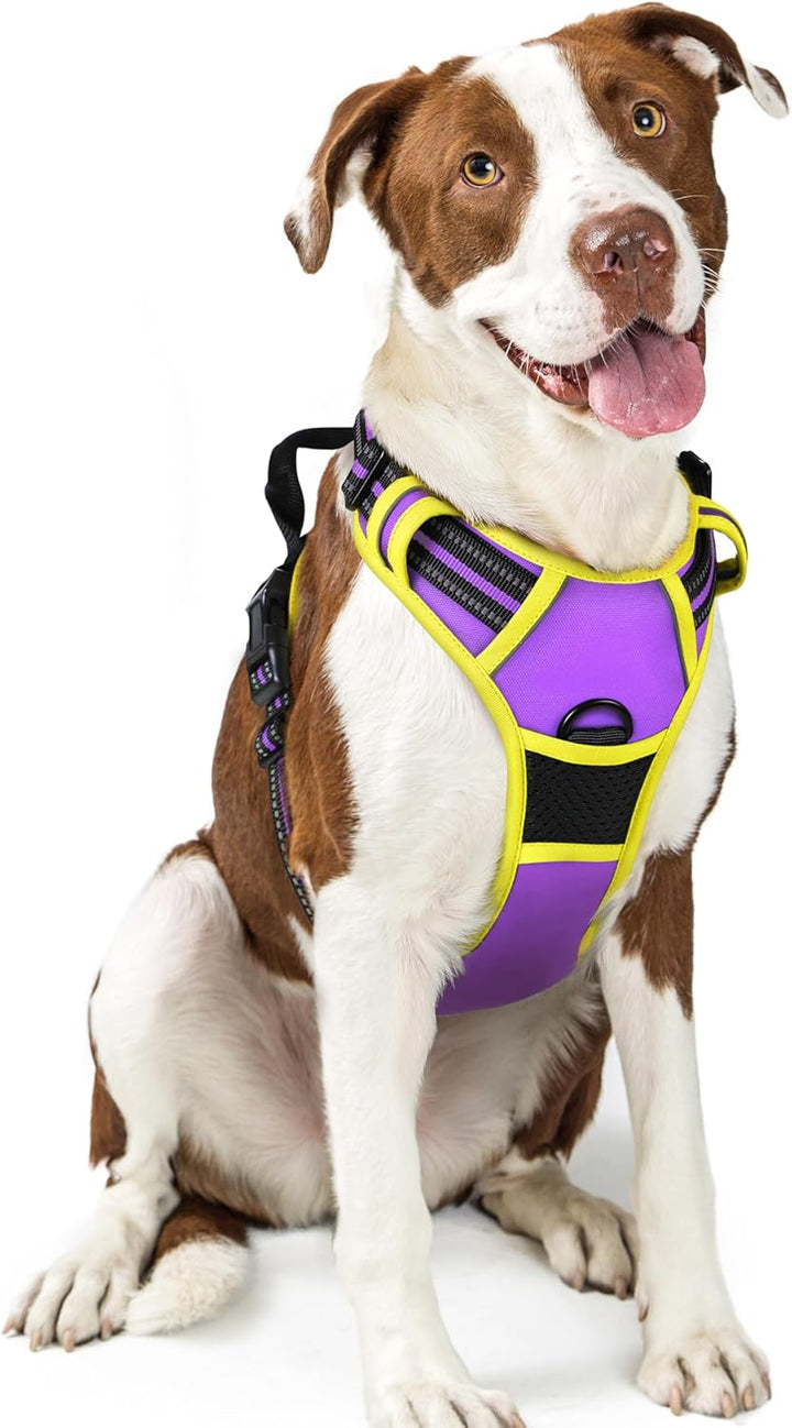Dog Harness No Pull with 2 Leash Clips, Adjustable Soft Padded, Reflective Oxford No Choke Pet Vest with Easy Control Handle for Large Dogs, Black, L