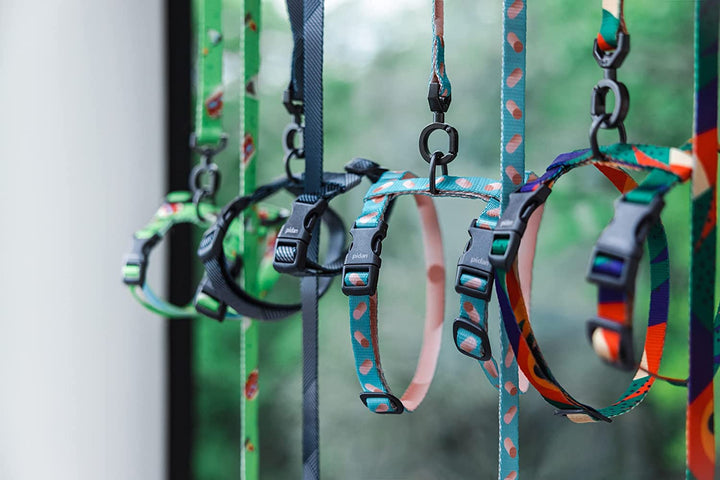 Cat Harness and Leash Set, Cats Escape Proof - Adjustable Kitten Harness for Large Small Cats, Lightweight Soft Walking Travel Petsafe Harness（(Multicolor-M Size）