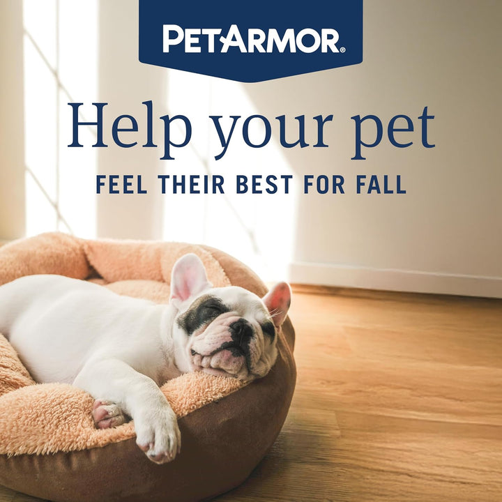 Ear Mite Treatment for Dogs, Ear Mite Medicine Kills Ticks and Ear Mites to Relieve Itchiness, Sooths Ears with Aloe, 3Oz