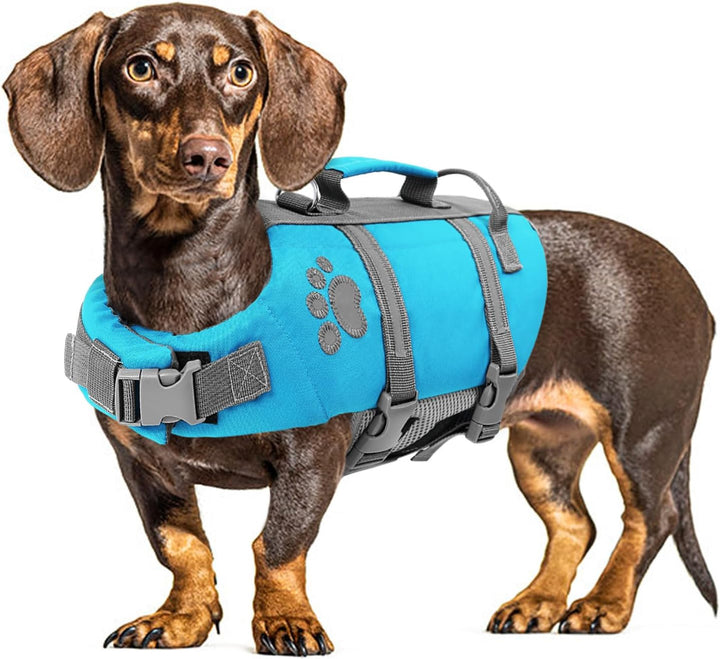 XS Dog Life Jacket, Puppy Life Jackets for Small Dogs, Small Doggie Life Vest for Swimming, Lightweight Extra Small Dog Swim Vest with Handle, Puppy Life Vest for Boating, Cat Lifevest
