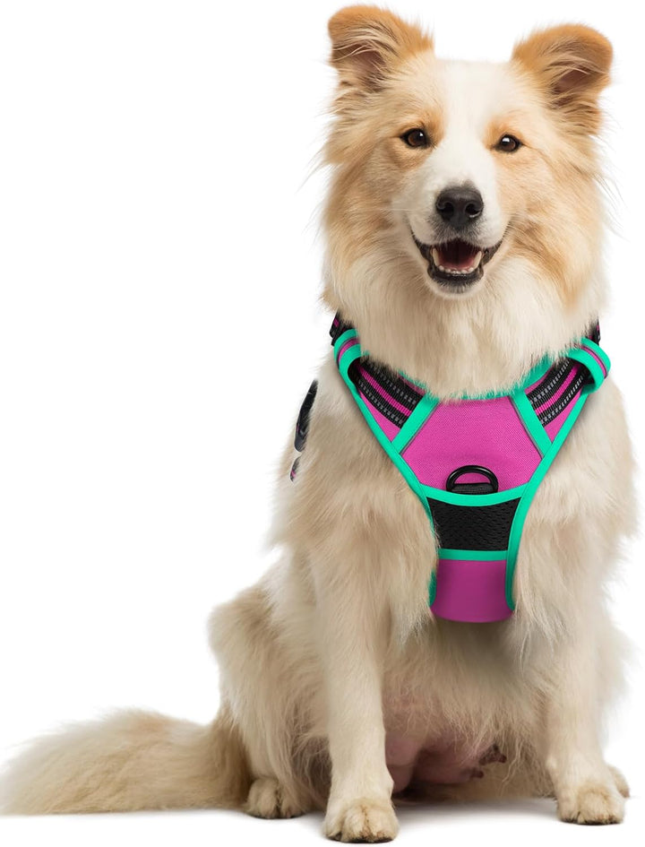 Dog Harness No Pull with 2 Leash Clips, Adjustable Soft Padded, Reflective Oxford No Choke Pet Vest with Easy Control Handle for Large Dogs, Black, L