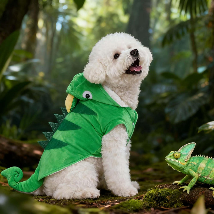 Chameleon Dog Costume for Halloween,Winter Fleece Pet Cat Coat Jacket for Small Medium Large Dog,Pet Funny Clothes Hoodie Labrador Bulldog Chihuahua(S, Green)