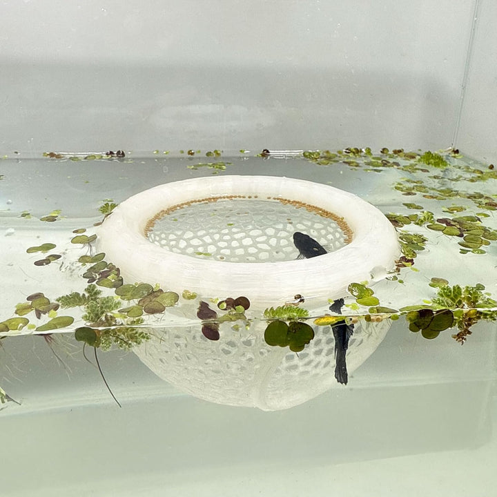 Aquarium Floating Betta Fish Skins, Betta or Shrimp Feeder, Cave and Hammock, Small Fish Feeding Rings, Aquarium Hiding Feeding Decorative Accessories (Black)