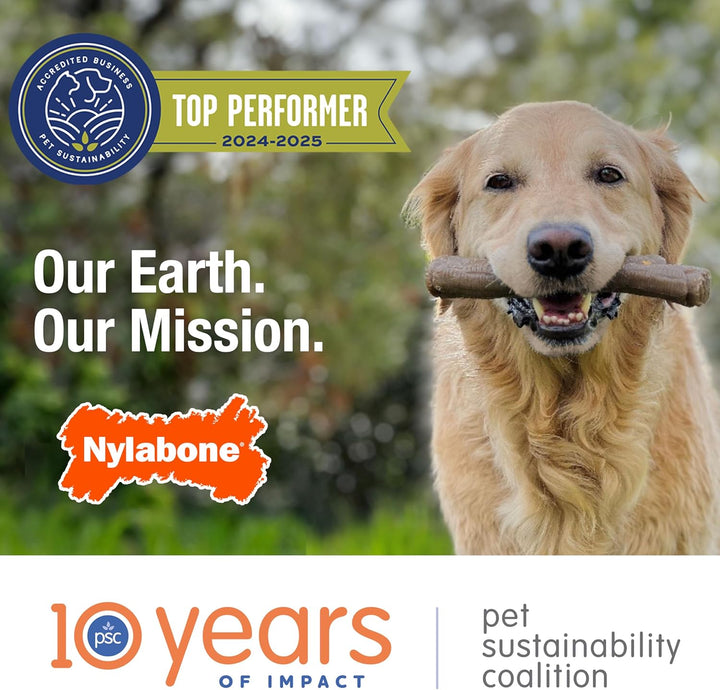 Ring Bone Chew Toy for Puppies, Puppy Teething Toys, Puppy Enrichment Toys, Chicken Flavor, X-Small Dogs - up to 15 Lbs, 1 Count