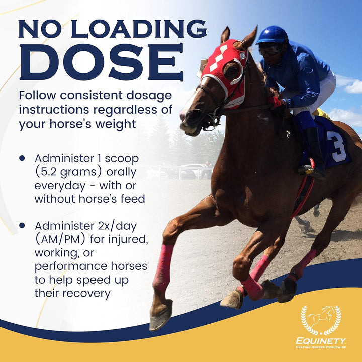 100-Day Supply Horse XL Supplement – Amino Acids for Cellular Repair, Coat Defense, Weight Gain, Joint & Hoof Support – No Soy/Sugar – Equine Supplements for Muscle, Immune Support & Overall Health