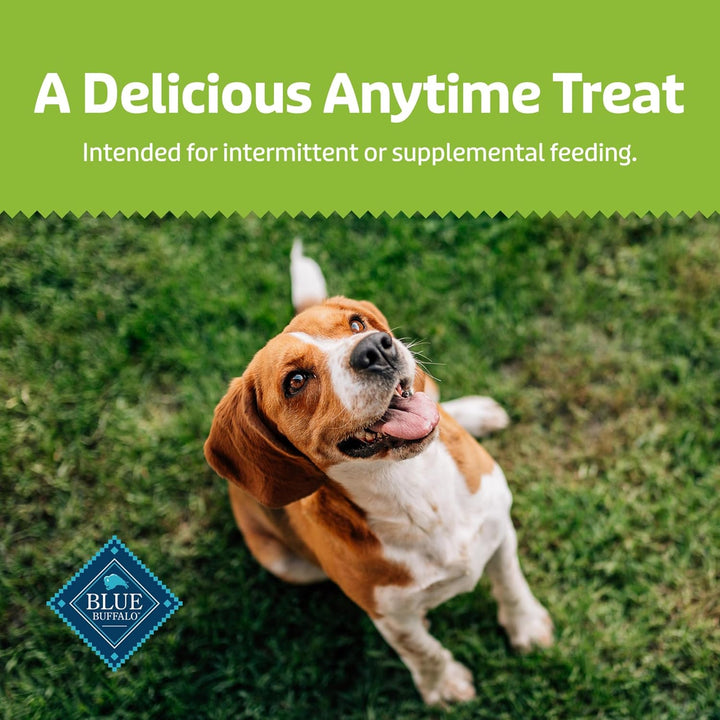 Health Bars Mini Crunchy Dog Biscuits, Oven-Baked with Natural Ingredients, Apples & Yogurt, 16-Oz Bag