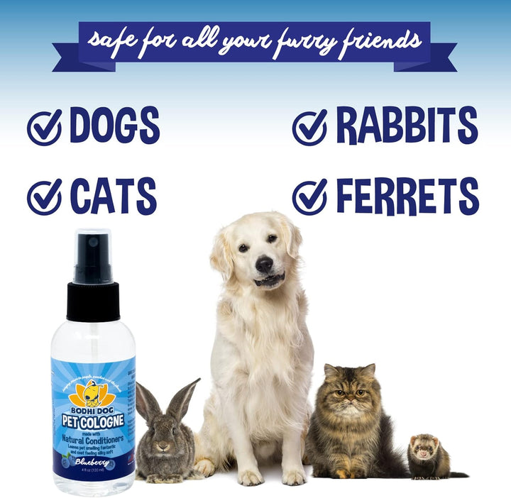 Natural Dog Cologne (Blueberry) - Premium Scented Deodorizing Pet Perfume with Conditioner for Dogs & Cats - Keeps Pets Fresh & Clean - Gentle and Safe Formula, Made in USA (4 Fl Oz)