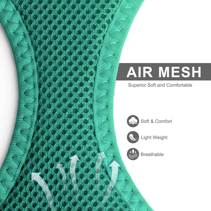 Cat Harness and Leash Set for Walking Kitten and Puppy, Escape Proof Kitten Harness with Breathable Lightweight Soft Mesh, Adjustable Reflective Step-In Design. (XXXS, Green)