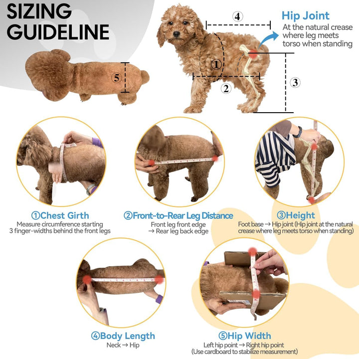 2024 Upgraded Dog Wheelchair for Back Legs Small Wheelchair for Dogs with Disabled Hind Legs Walking Adjustable Dog Carts with Heavy Duty Wheels