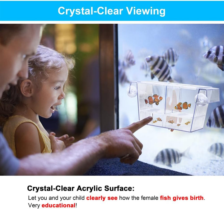 Fish Breeding Box Aquarium Holding Tank Transparent Fish Isolation Box Acclimation Hatchery Incubator Breeder for Betta Shrimp Clownfish Guppy