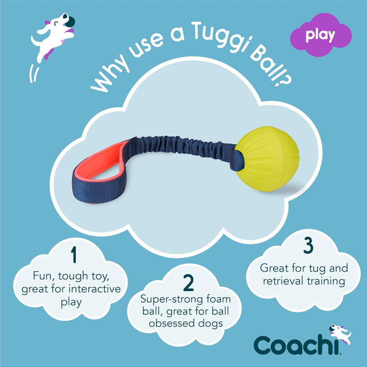 Coachi Tuggi Ball - Interactive Dog Toy for Tug of War & Play. Strong & Comfortable, Stretchy Bungee Handle, Reward Training, Interrupting Biting & Chewing. Ideal for Agility and Suitable for Puppies