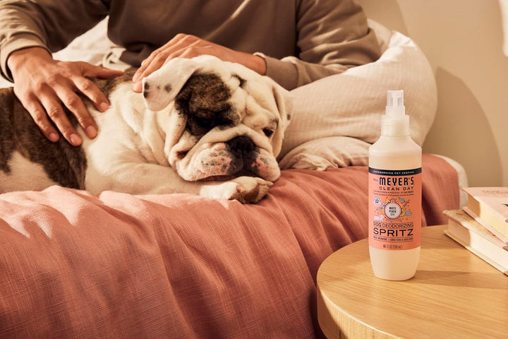 Clean Day Dog Deodorizing Spray, White Peach Scent, 8Oz