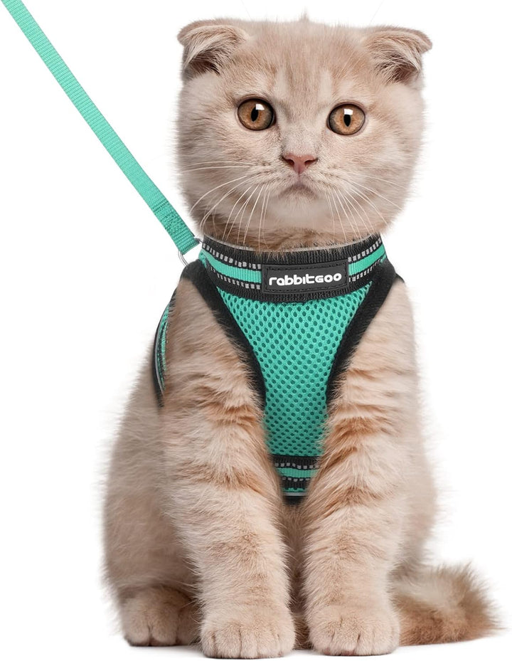 Cat Harness and Leash Set for Walking Escape Proof, Adjustable Soft Kittens Vest with Reflective Strip for Cats, Comfortable Outdoor Vest, Black, S