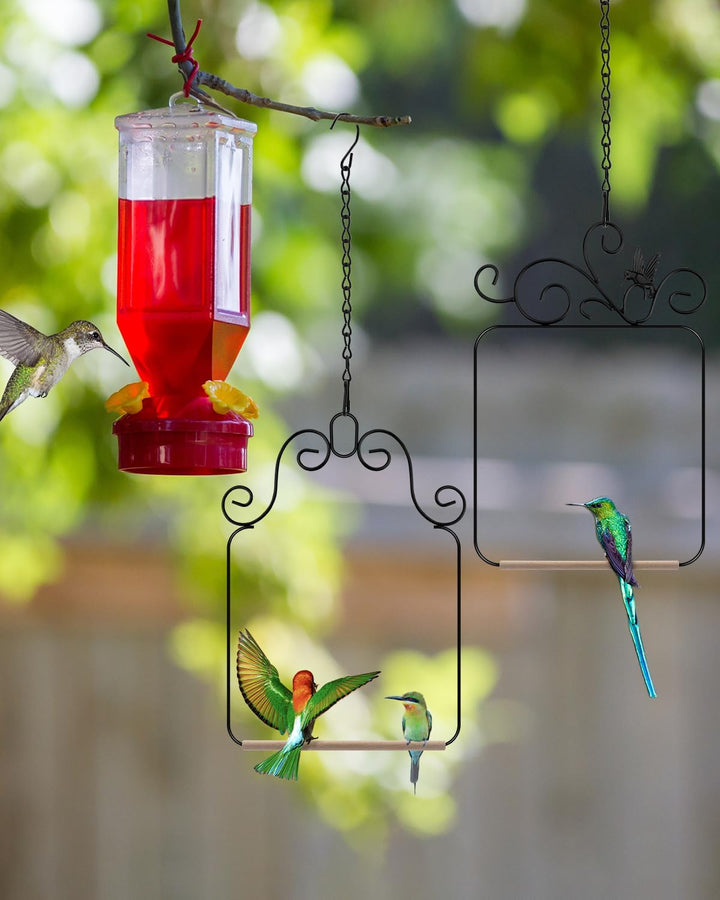 Hummingbird Swings and Perches Metal Frame 2 Pack, Wild Bird Swing Outdoor Bird Perch with Wooden Dowel and 2 Hanging Chain for Hanging Indoor, Outdoor, Trunk, Lawn, Patio, Garden (Black)
