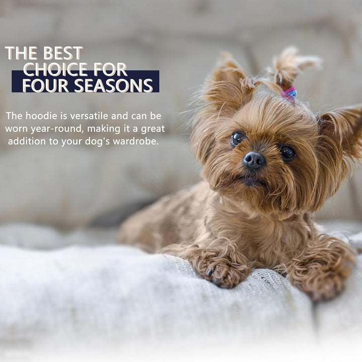 Blue Chihuahua Dog Hoodie: Keep Your Pup Warm and Stylish with a 'The Dog Face' Printed Sweatshirt, Pet Clothes, and Sweater Coat All in One - Perfect for Winter and Cool Summer Nights! M