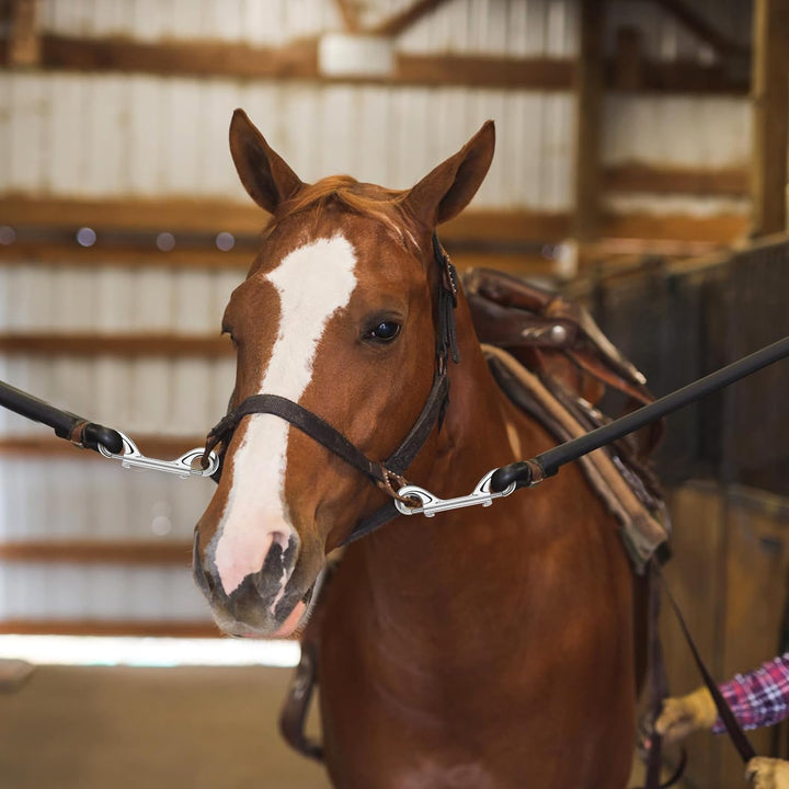 15 Pack Heavy Duty Snap Hooks Double Sided Clips for Hanging Horse Tack Sling Feed Buckets Dog Leash Collar Key Chain Zinc Alloy Metal Snaps Clip(3-1/2 Inch)