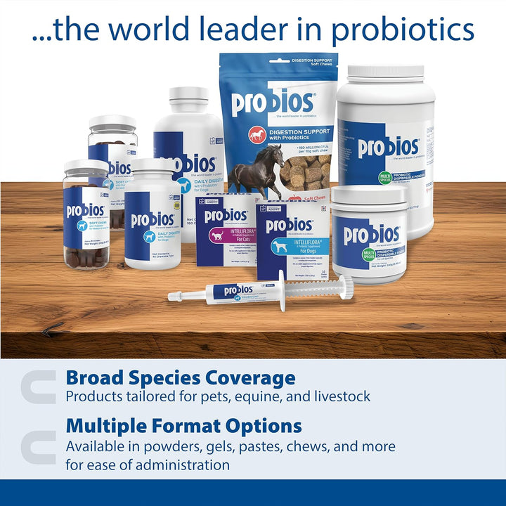 for Horses Soft Chews, Daily Probiotic Supplement for Gut Health, Digestion & Immune Support, Horse Supplies, Apple Flavor, 1.32 Lbs (600 Grams)